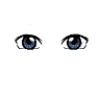 Midnight Blue Male Eyes