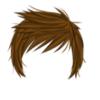 BROWN MALE HAIR