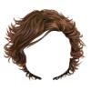 Harry Hair