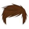 brown male heatherbear hair