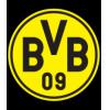 BVB logo Background