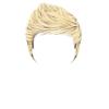 Blonde Niall Hair