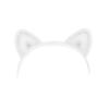 White Kitty Ears