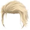 Blond Beckham Hair
