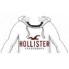 White Hollister Hoodie (male)