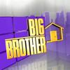Alex's Big Brother Season 1
