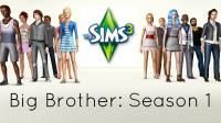 Sims Big Brother: US