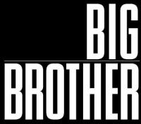 Big brother 11