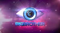 Nick's Big Brother- The VL