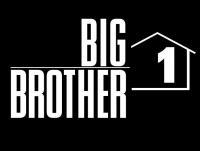 Tammys Big Brother 1: A Tale Of 2 Houses
