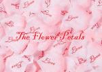 Fraternity The Flower Petals < 3